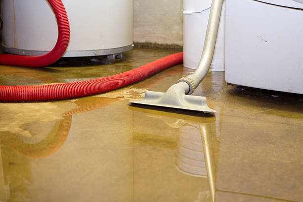 Best Flood restoration services  in Long Neck, DE