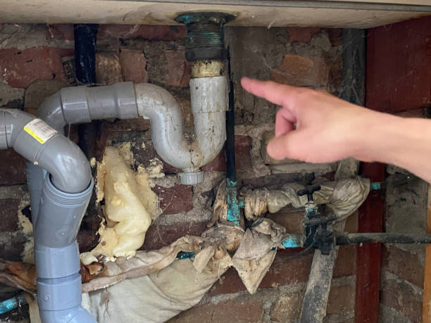 Best Sewage cleanup and water damage restoration  in Long Neck, DE