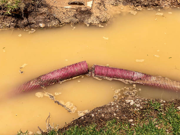 Best Carpet water damage restoration  in Long Neck, DE