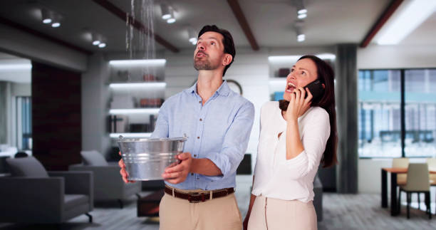 Best Local water damage restoration  in Long Neck, DE